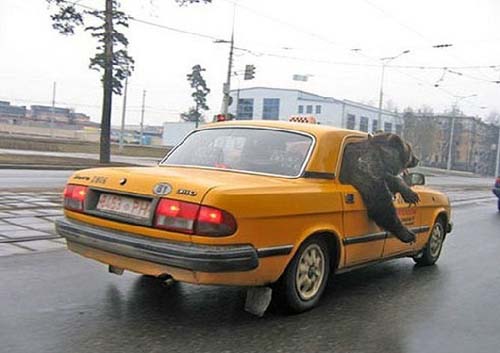 Куда уехал цирк? Он был ещё вчера...   